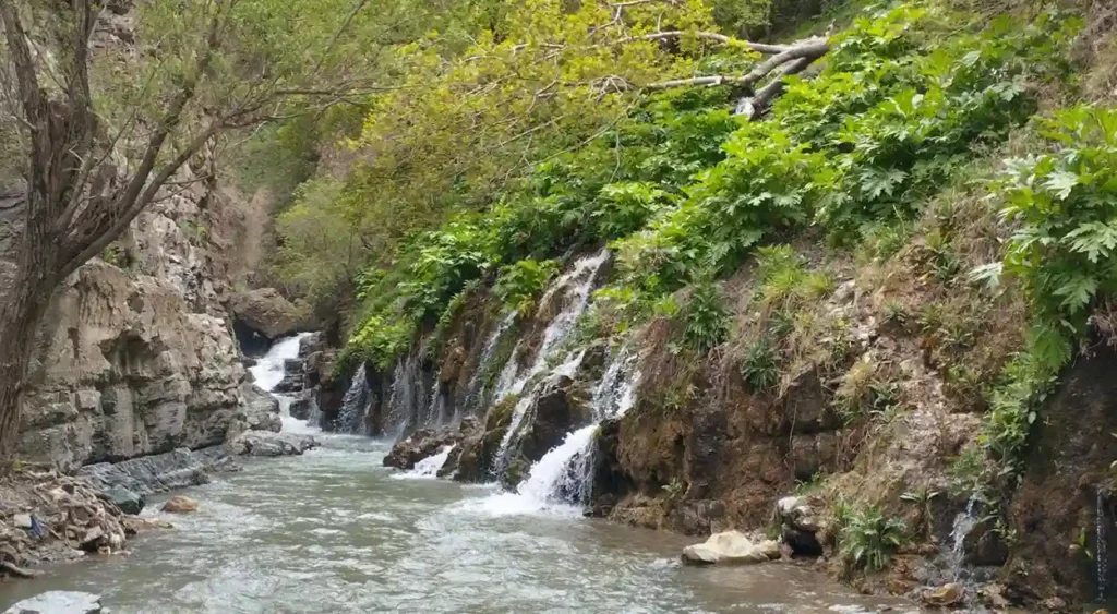 4ـ روستای ارنگه