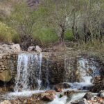 آبشار برگ جهان