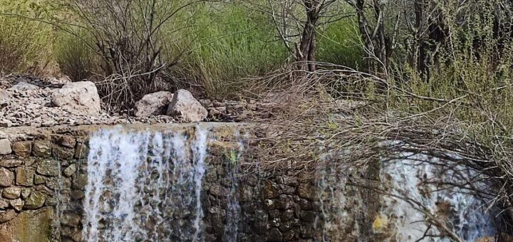 آبشار برگ جهان
