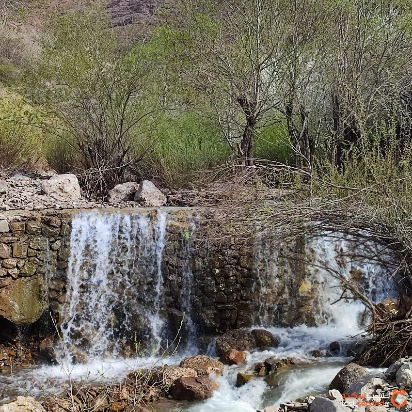 آبشار برگ جهان